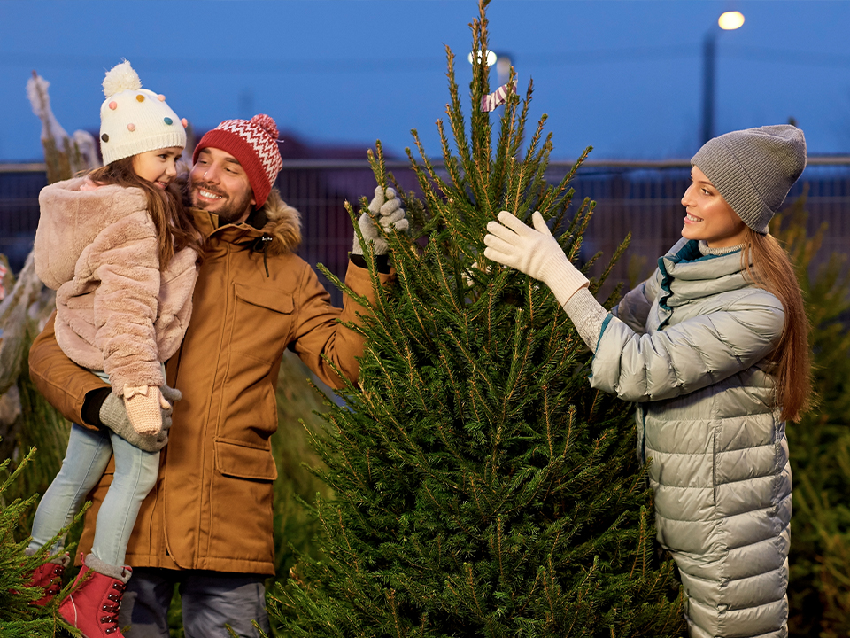 Фото: istockphoto.com/dolgachov