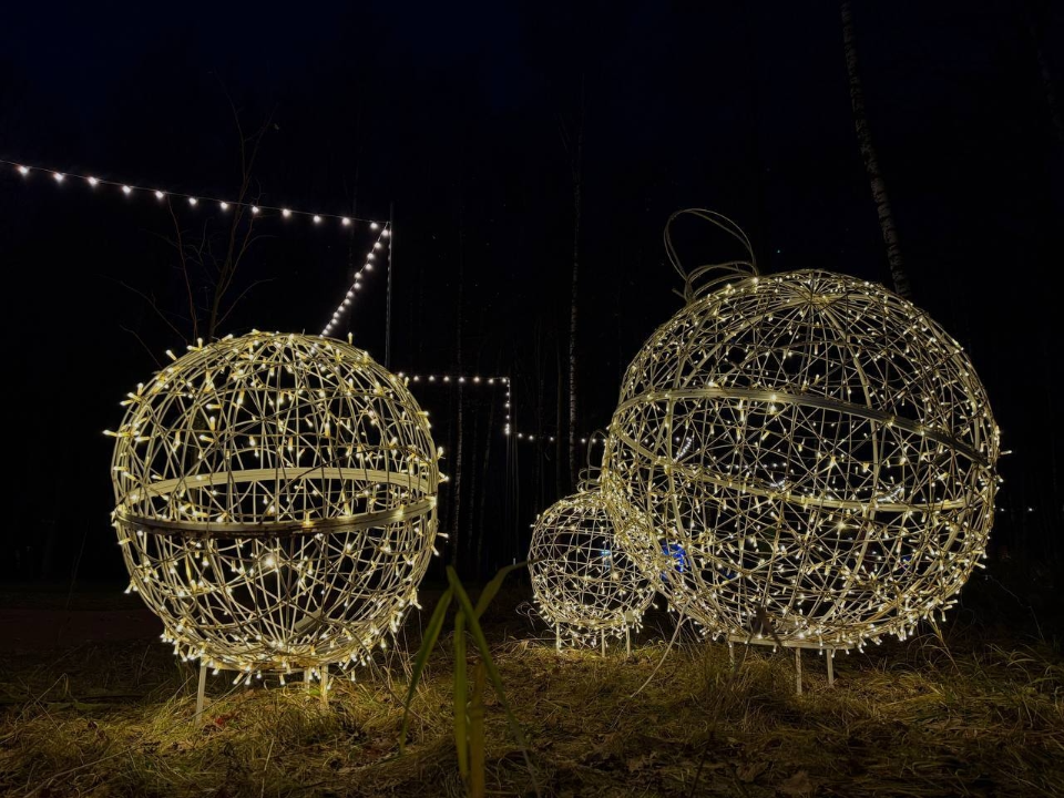 Фото: Фрязинский лесопарк