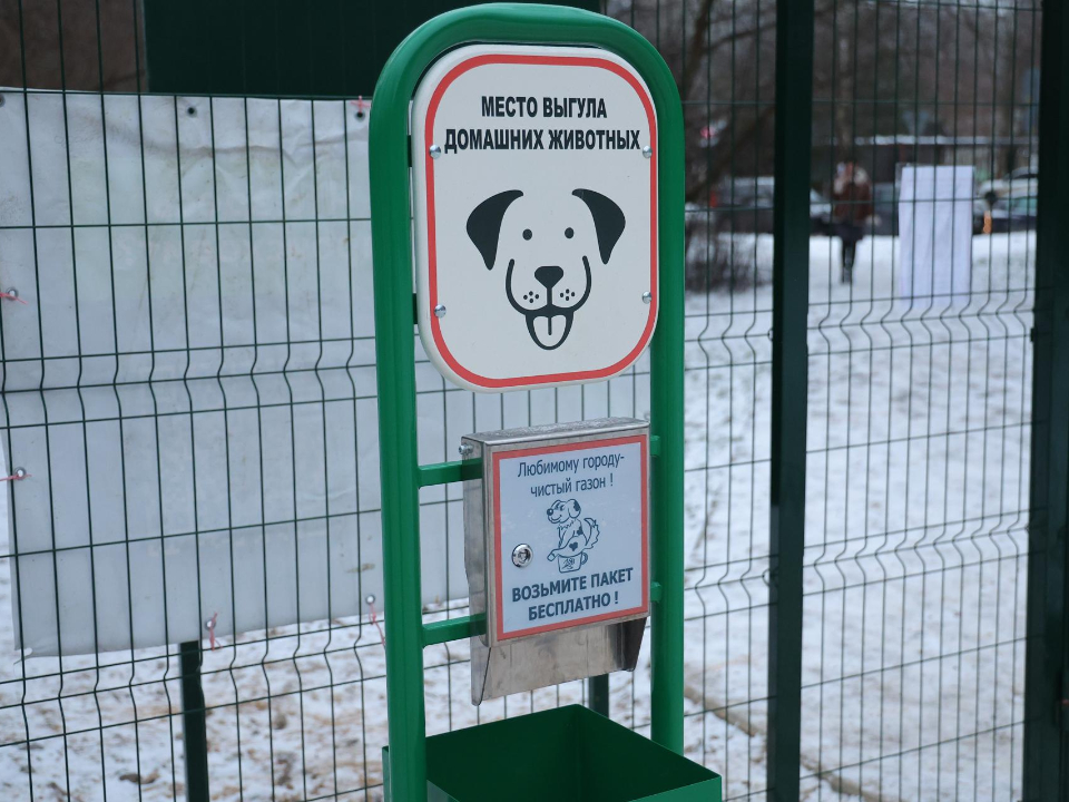 Фото: администрация г.о. Балашиха