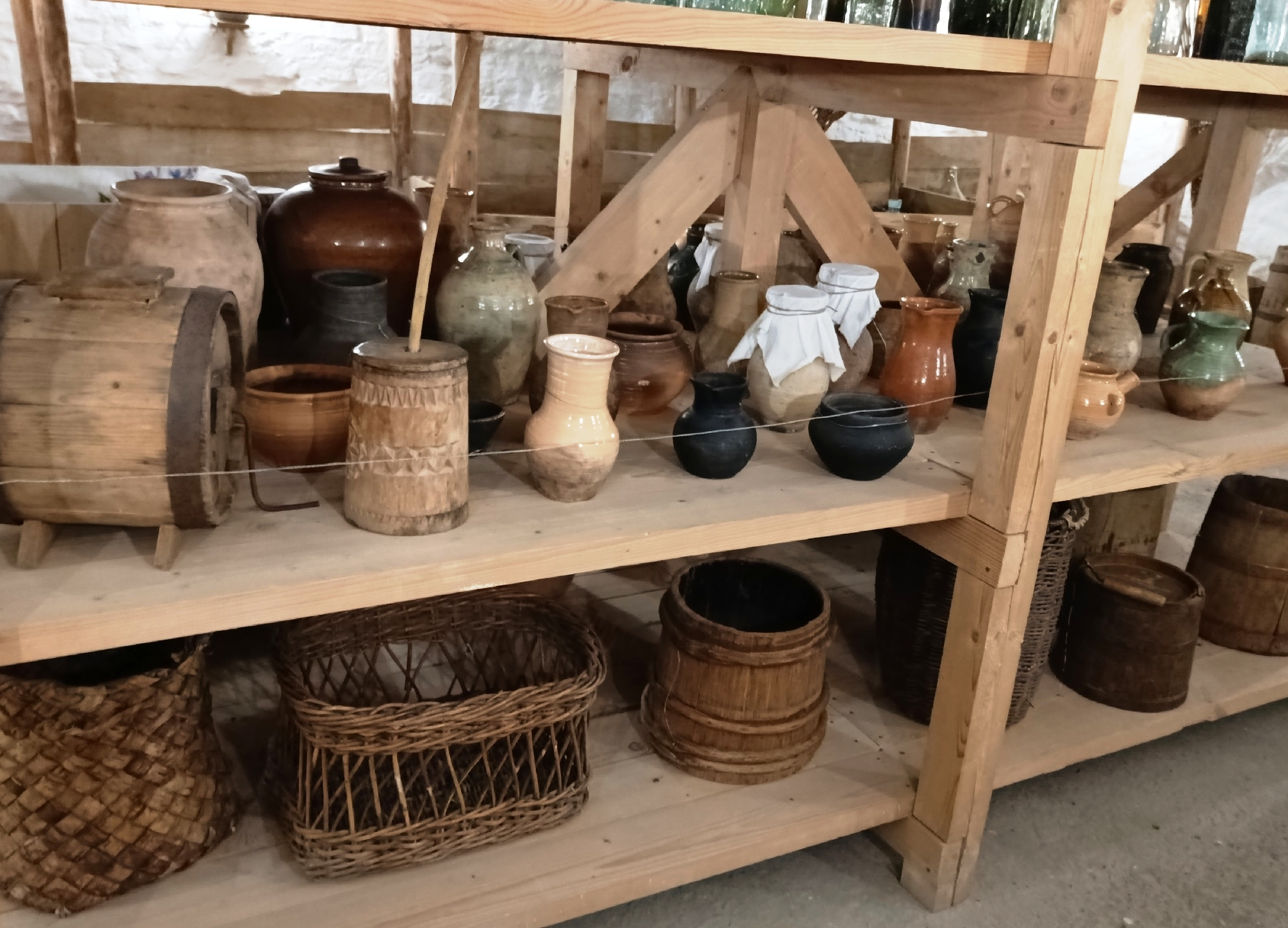 Фото: Лариса Вековищева