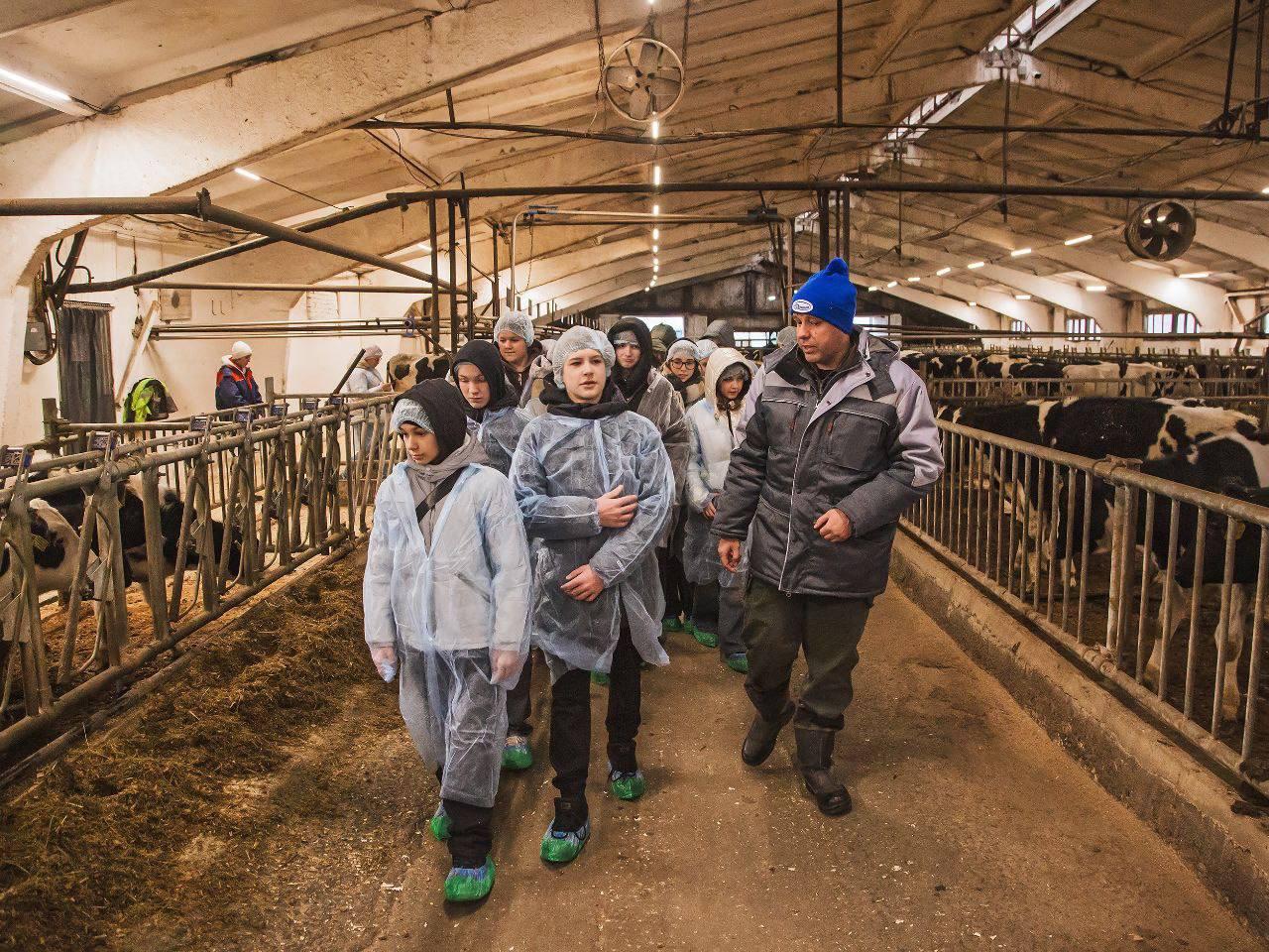 Фото: пресс-служба администрации Наро-Фоминского г.о.  