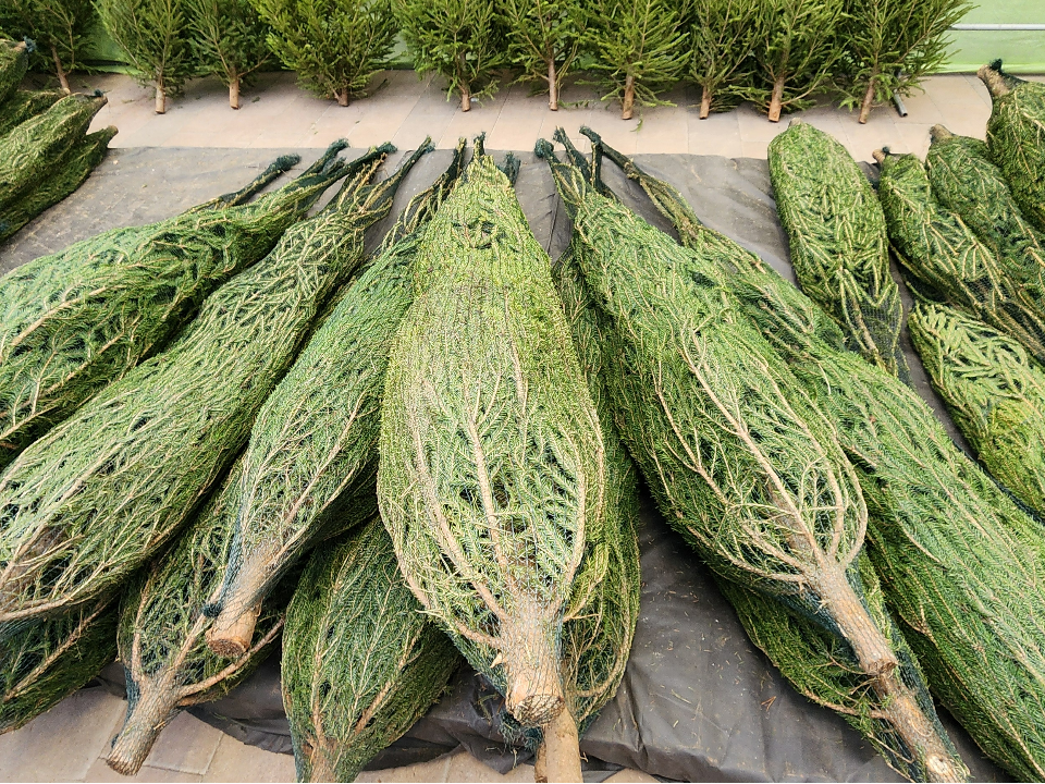 Фото: МедиаБанк Подмосковья/Максим Сафронов