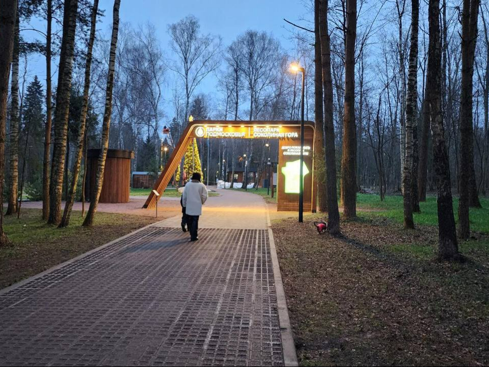 Фото: t.me/go_istra