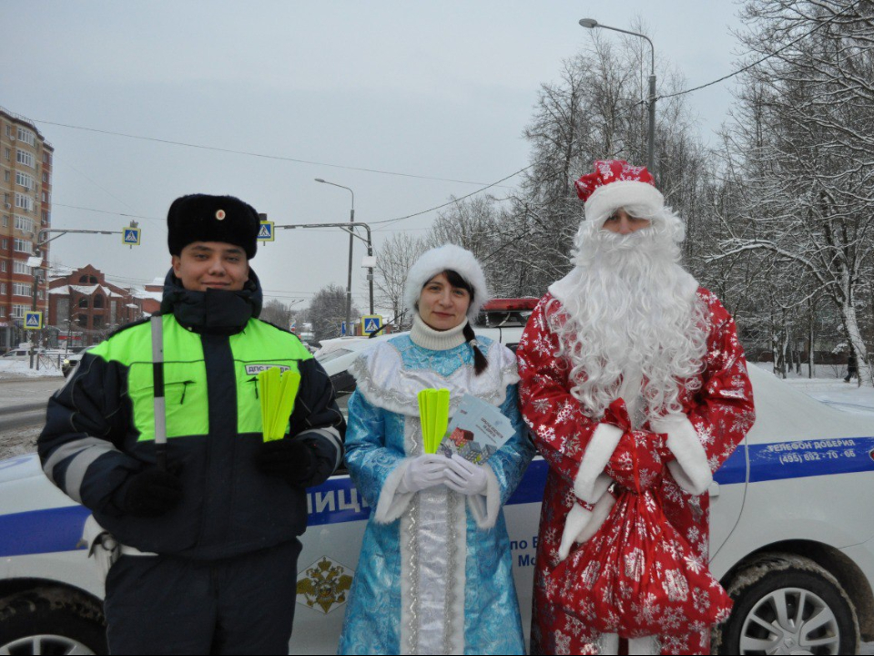 Фото: ОМВД России "Волоколамский"