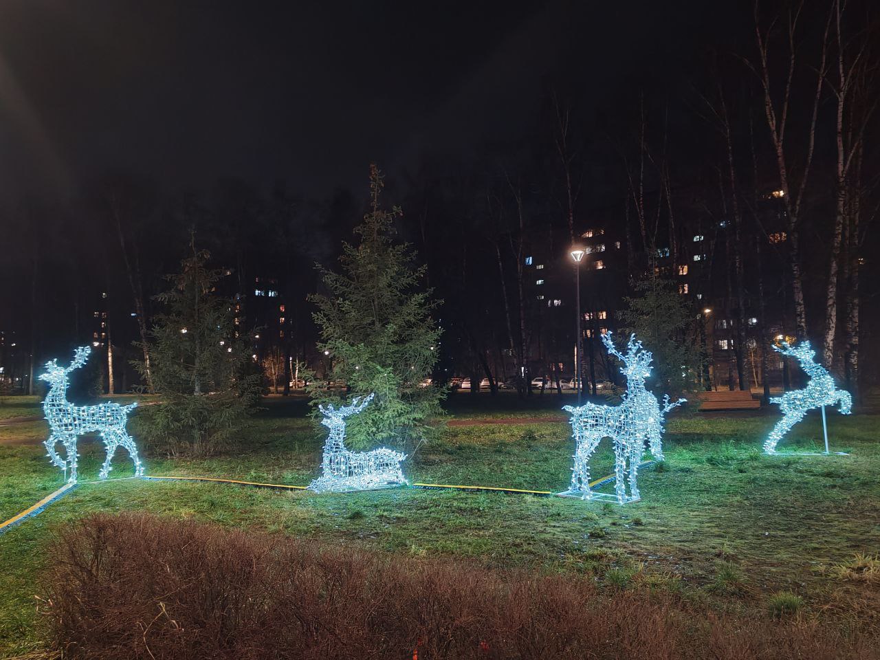 Фото: пресс-служба администрации г. о. Черноголовка