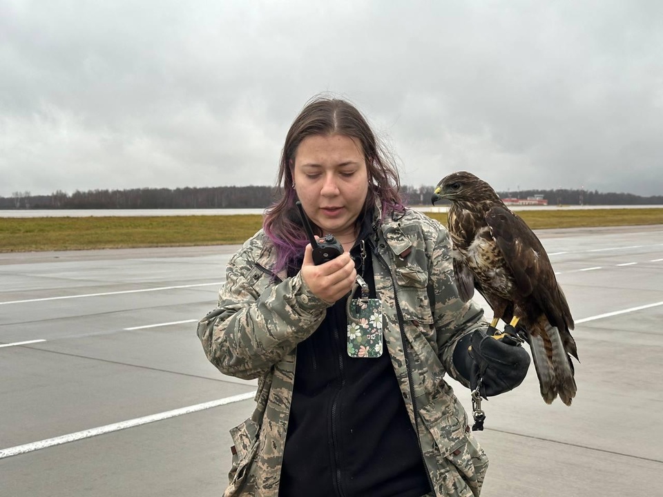 Фото: МедиаБанк Подмосковья/Эдуард Стратонов 