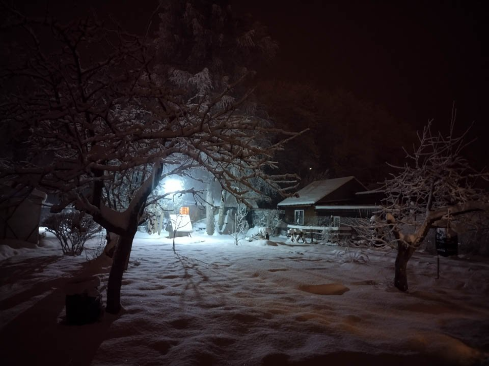 Фото: REGIONS/Роман Малышенко