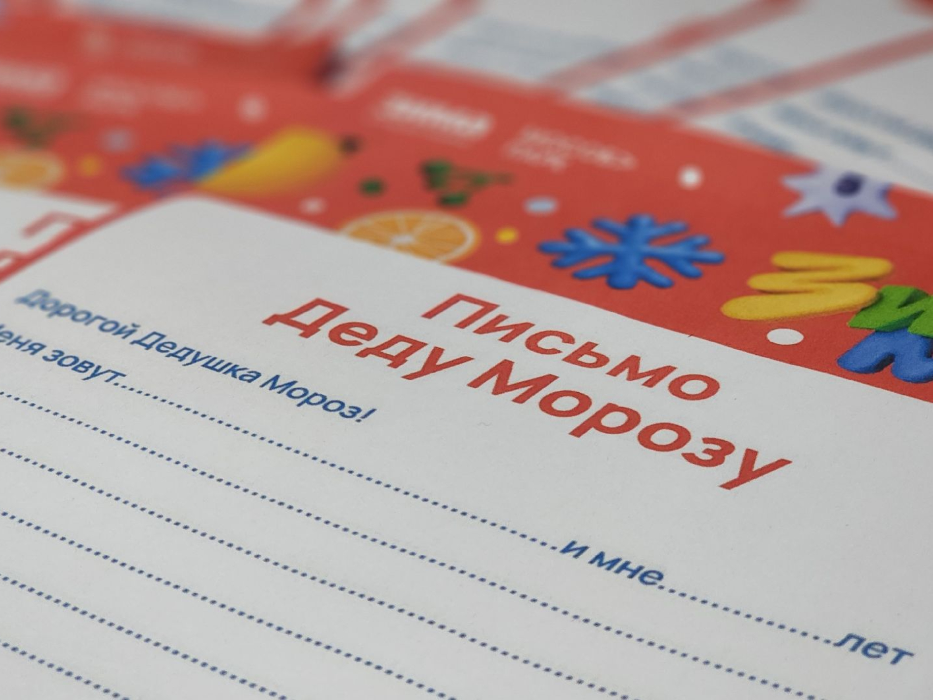 Фото: МедиаБанк Подмосковья/Екатерина Данилина