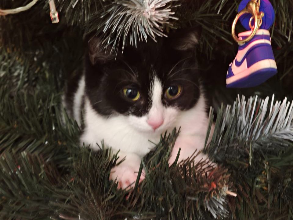 Фото: Максим Зубарев