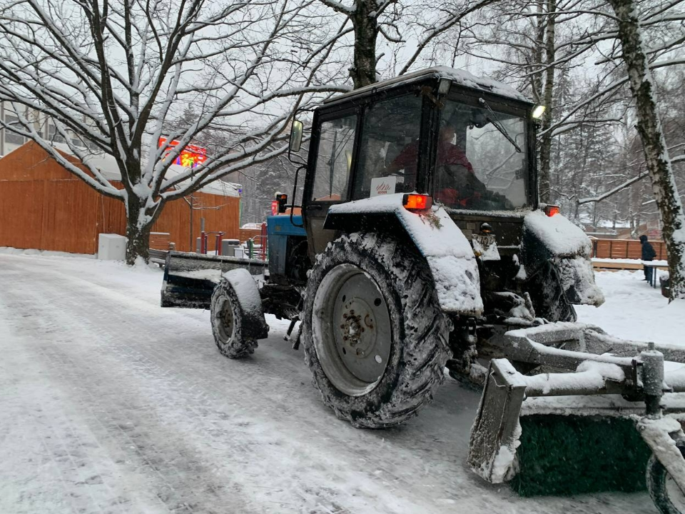 Фото: пресс-служба администрации г.о. Химки