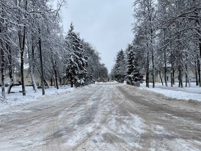 Фото: пресс-служба администрации Наро-Фоминского г.о.             