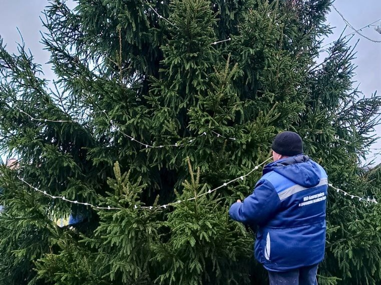 Фото: пресс-служба администрации Наро-Фоминского г.о.            