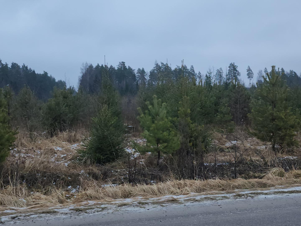 Фото: REGIONS/Роман Кутузов