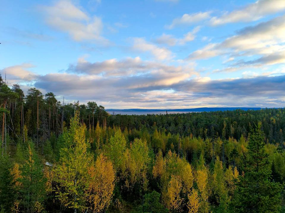 Фото: REGIONS/Андрей Можанов