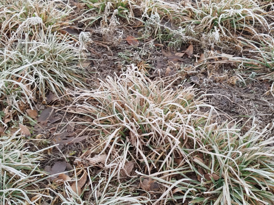 Фото: REGIONS/Юлия Куделькина