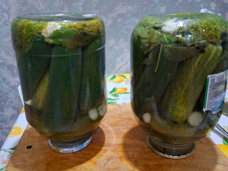 Фото: REGIONS/Юлия Габбасова