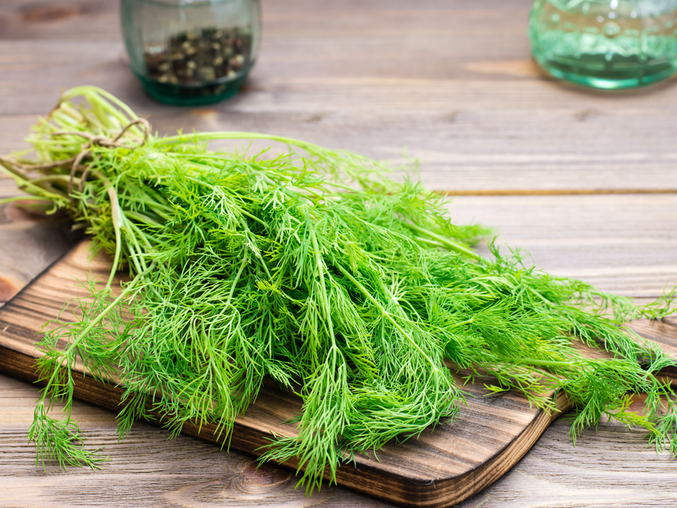 Фото: istockphoto.com/Elena Rui 