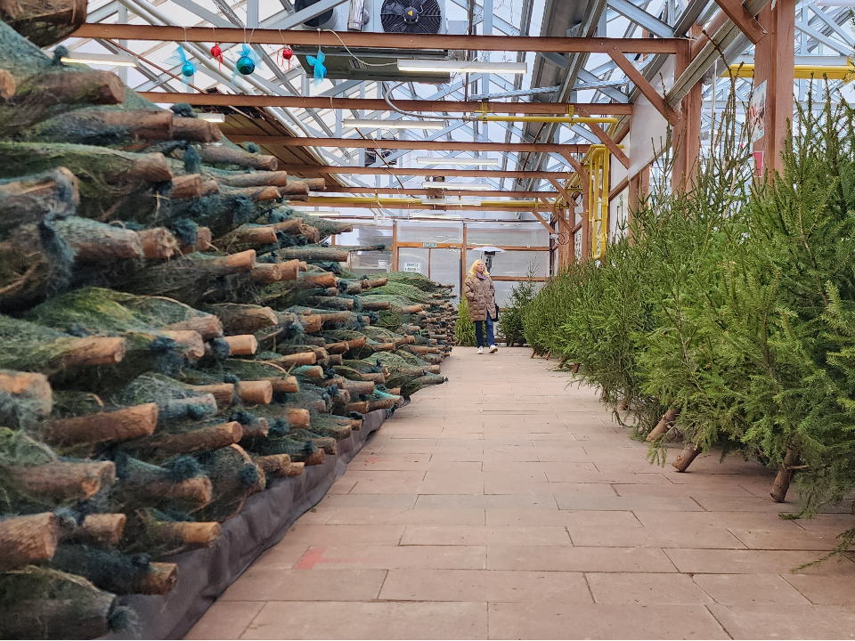 Фото: МедиаБанк Подмосковья/Максим Сафронов