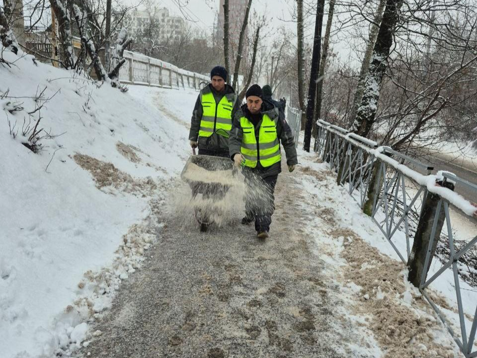 Фото: МедиаБанк Подмосковья/Наталья Лымарь