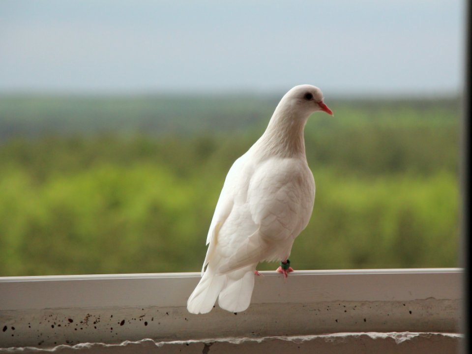 Фото: REGIONS/Наталья Дорофеева