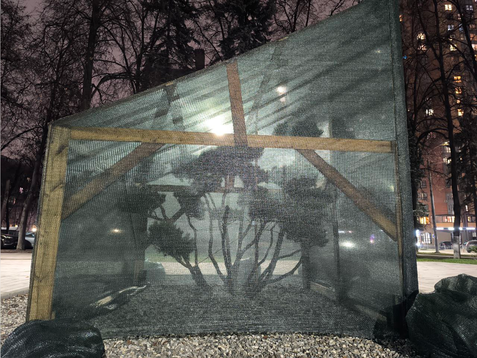 Фото: t.me/reutov_today