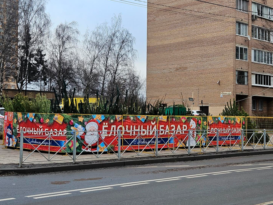 Фото: МедиаБанк Подмосковья/Вероника Горбачева