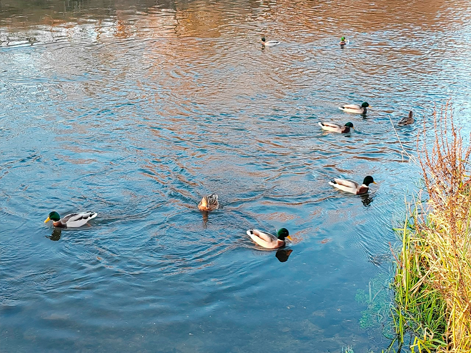 Фото: REGIONS/Евгений Мазепов