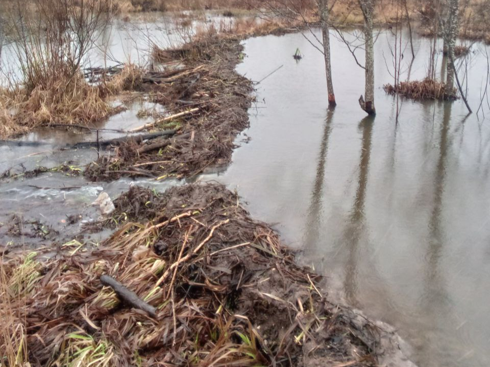 Фото: Дмитрий Сорокин