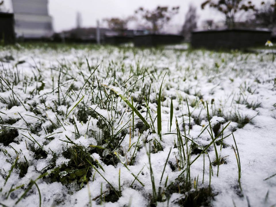 Фото: REGIONS/Роман Малышенко