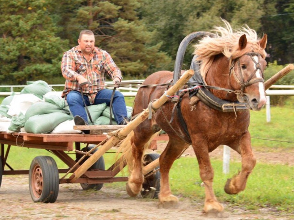 Фото: из личного архива Юрия Шкарева
