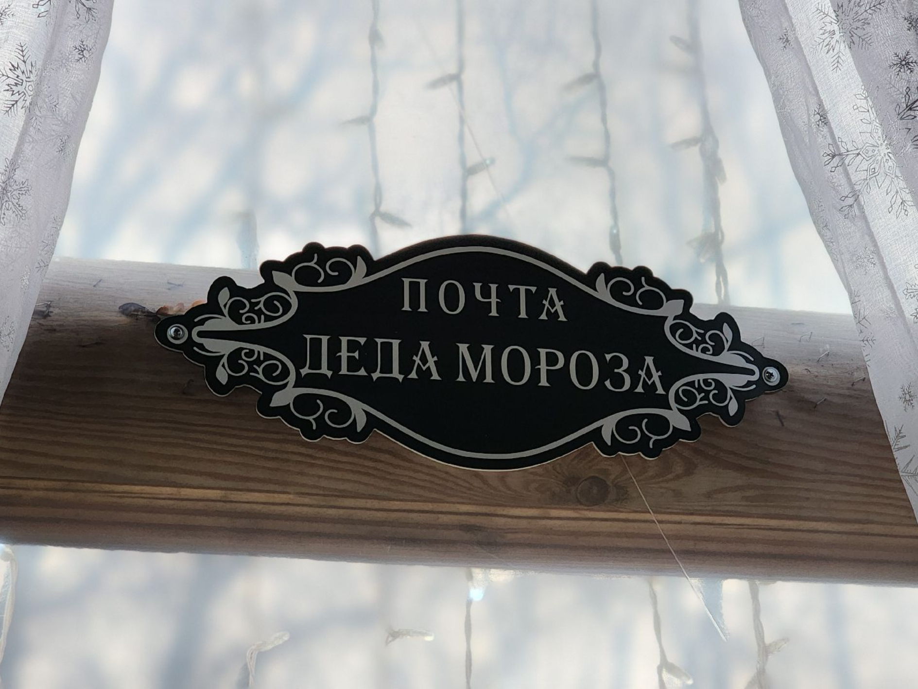 Фото: МедиаБанк Подмосковья/Екатерина Данилина