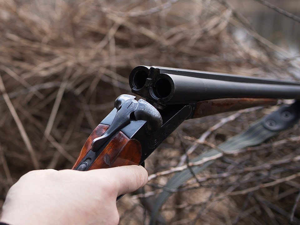 Фото: istockphoto.com/Olga Novikova