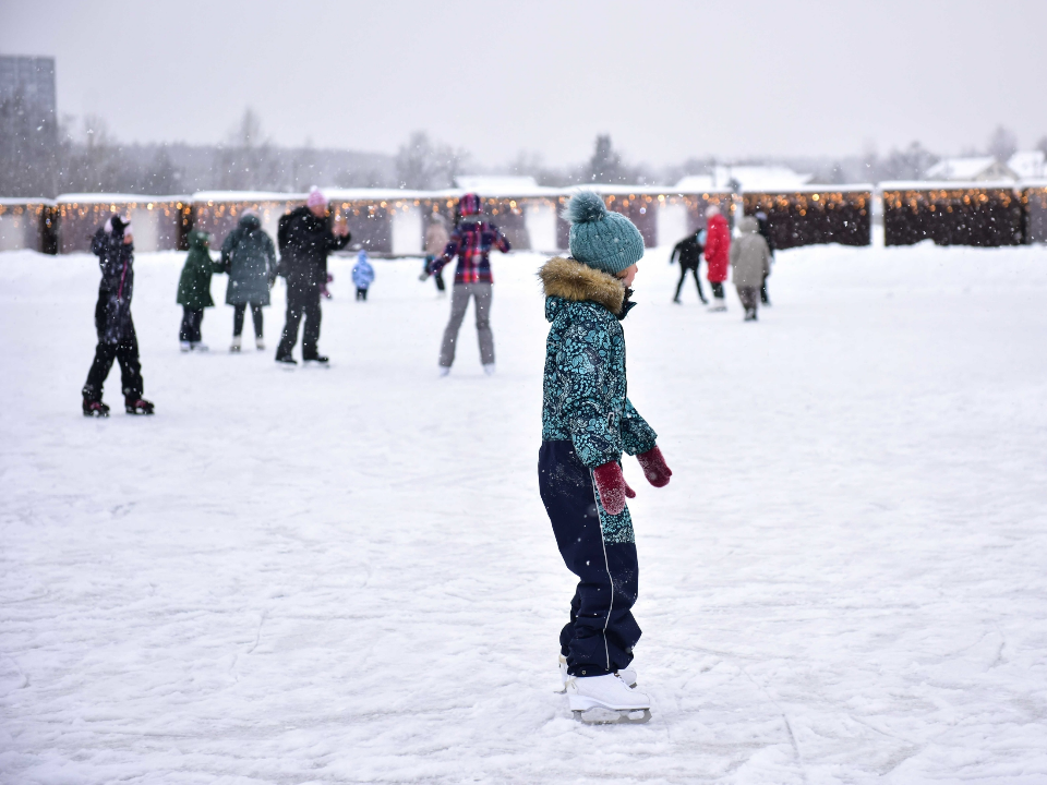 Фото: пресс-служба администрации г.о. Химки