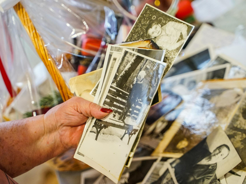 Фото: пресс-служба администрации г.о. Химки