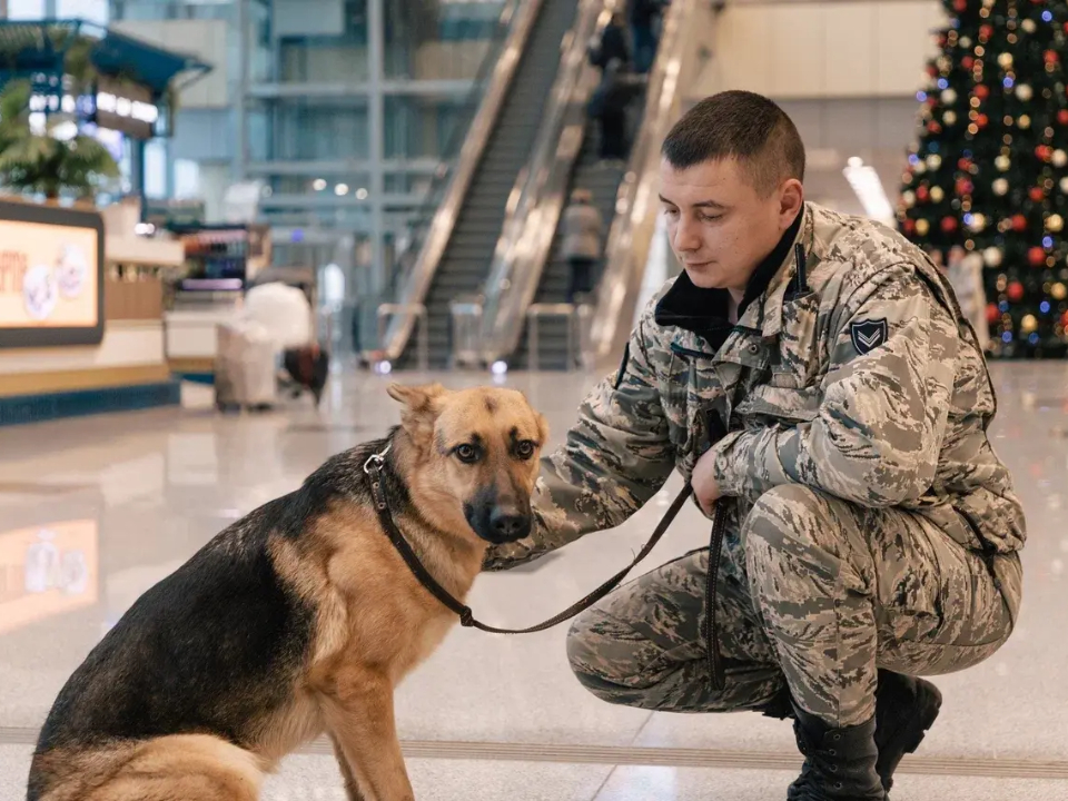 Фото: пресс-служба администрации г.о. Домодедово