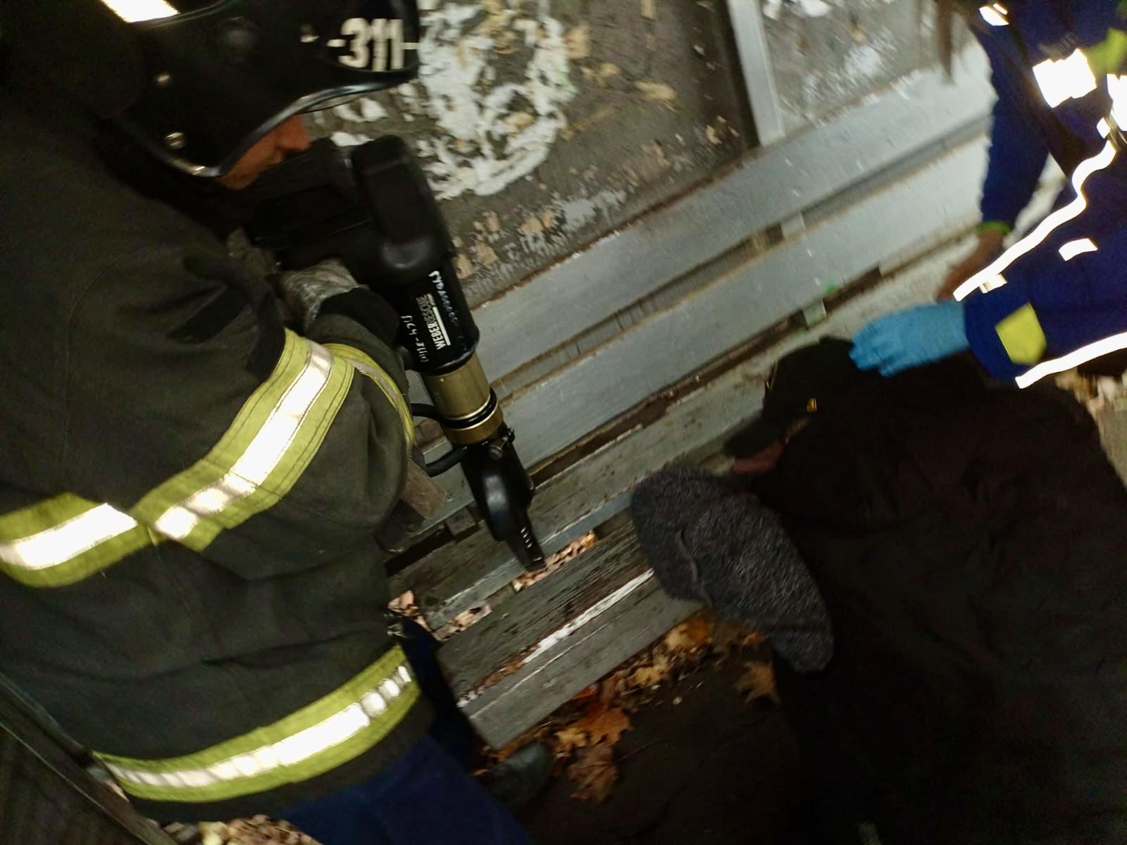 Фото: ГКУ МО «Мособлпожспас»