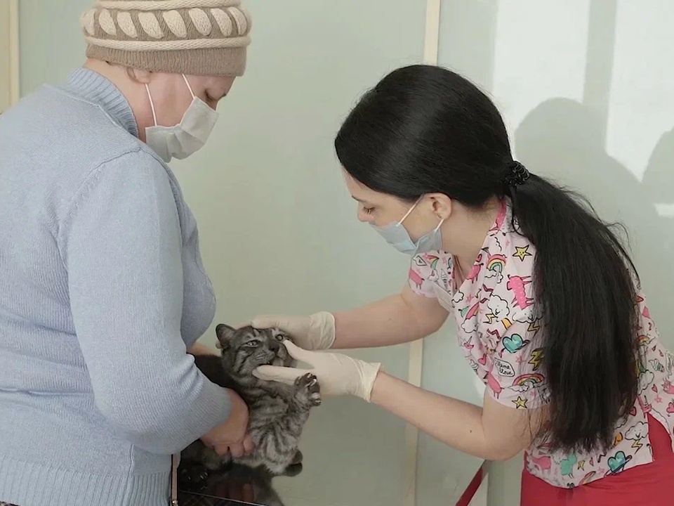 Фото: REGIONS/Наталия Надточая