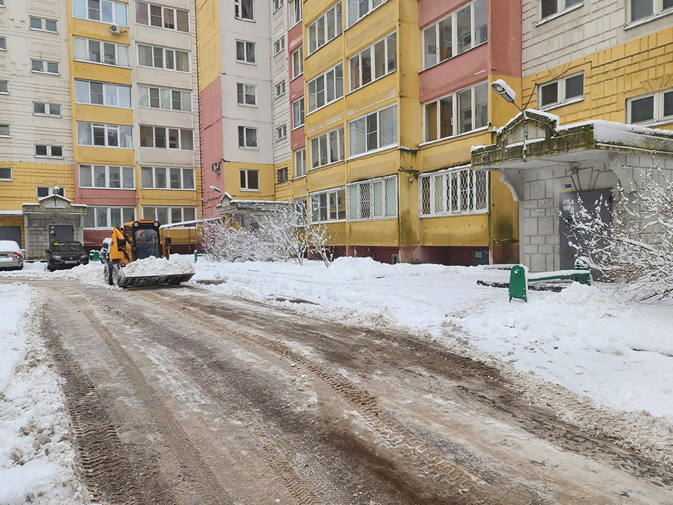 Фото: МедиаБанк Подмосковья/Екатерина Мелкозерова