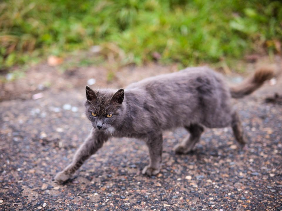 Фото: REGIONS/Владимир Ерастов