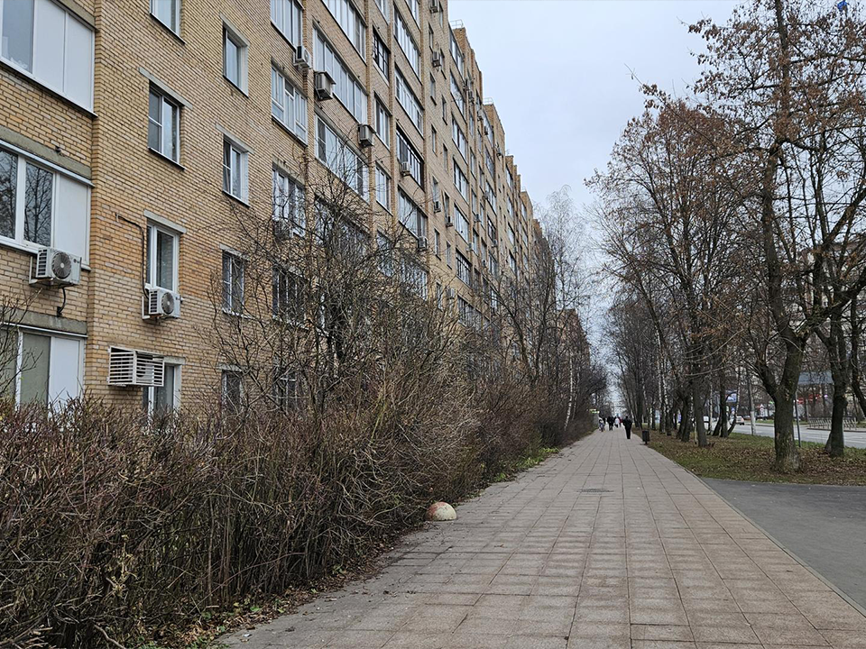 Фото: МедиаБанк Подмосковья/Вероника Горбачева