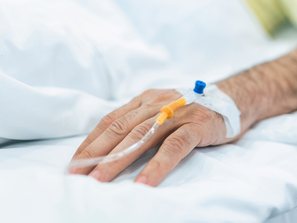 Фото: istockphoto.com/stefanamer