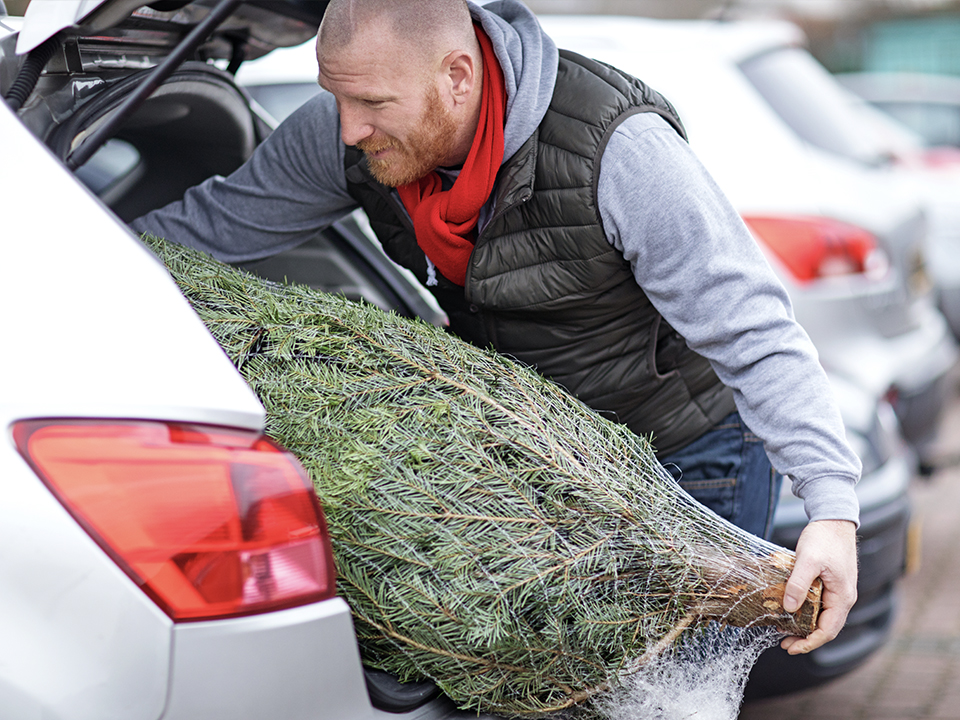 Фото: istockphoto.com/Lorado