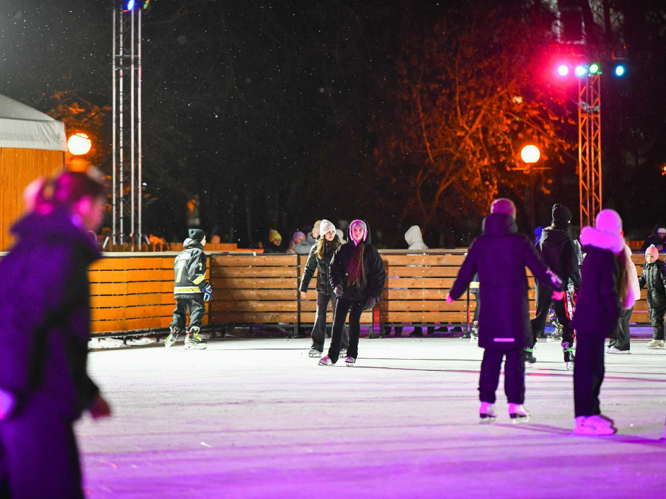 Фото: пресс-служба администрации г.о. Химки
