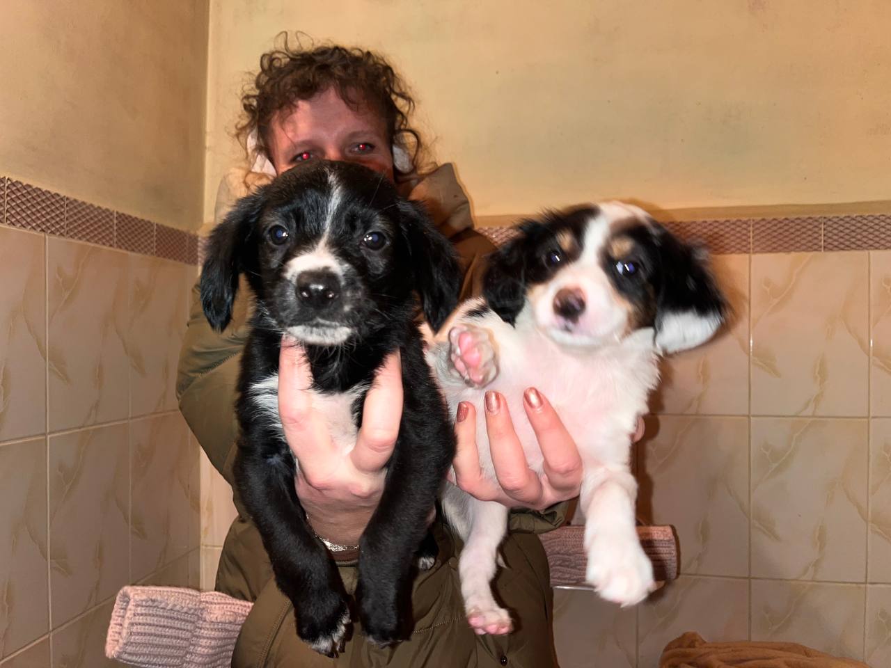 Фото: МедиаБанк Помосковья/Ангелина Стельмух