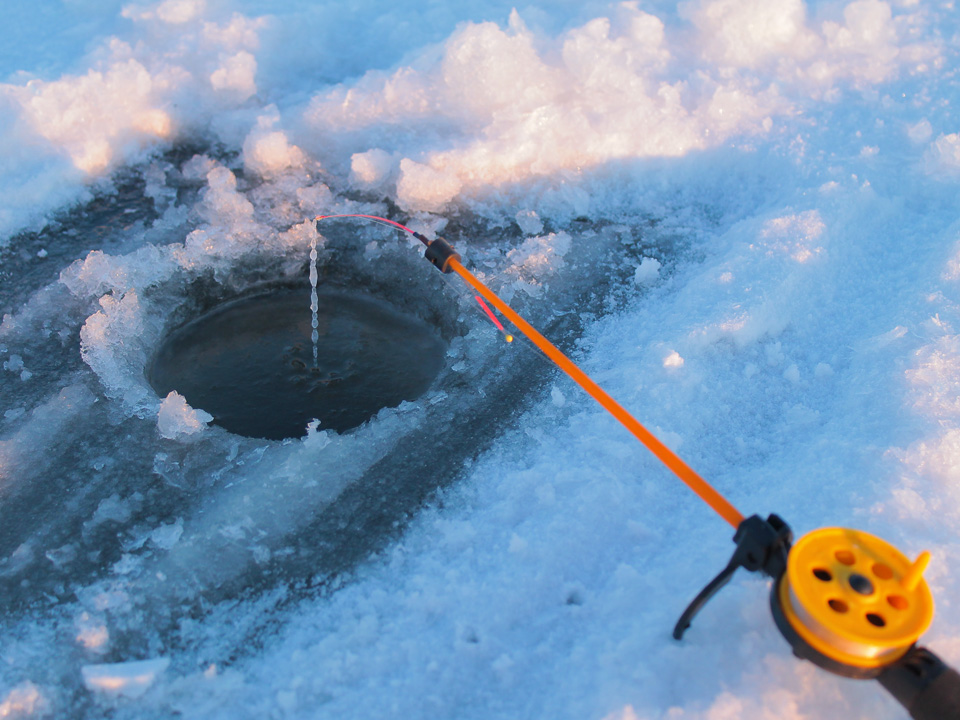 Фото: istockphoto.com/S-e-v-e-r-e 