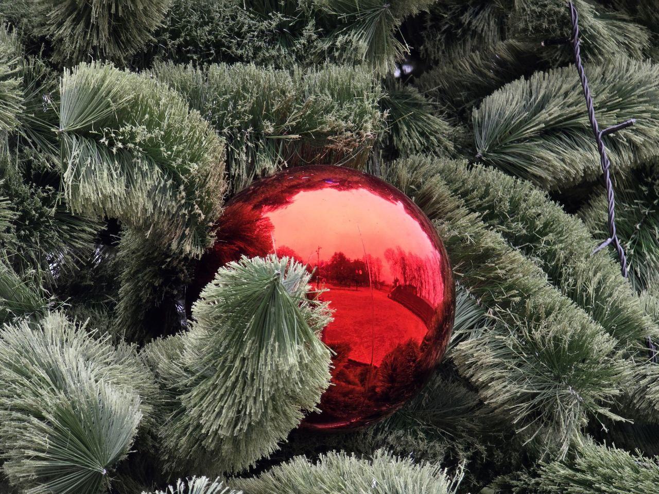 Фото: Яна Шаливская