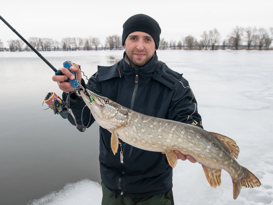 Фото: istockphoto.com/FedBul 