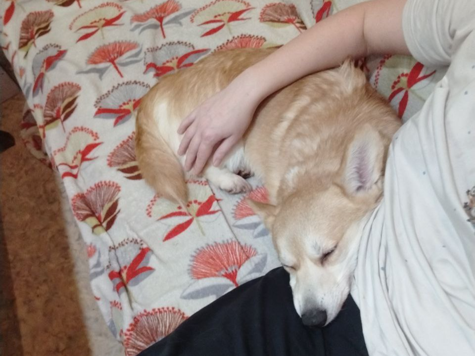 Фото предоставлено героиней истории Надеждой