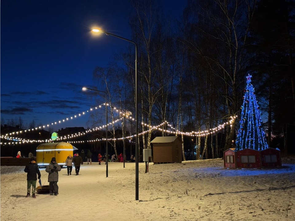 Фото: команда парков Домодедова 
