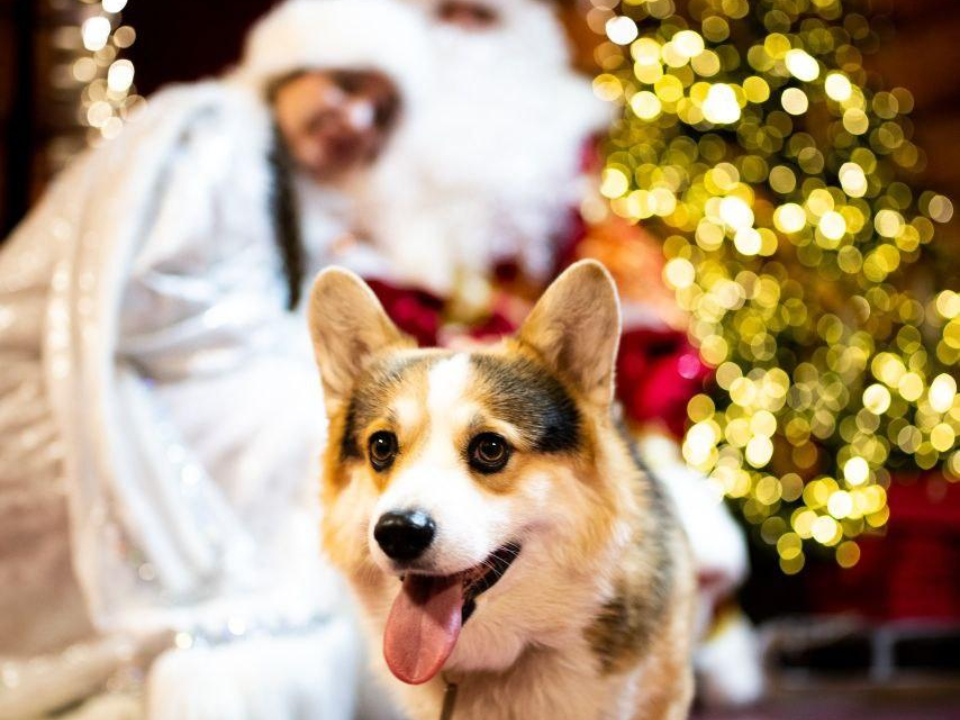 Фото: пресс-служба администрации г.о. Люберцы